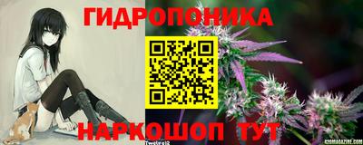 мет Боровичи