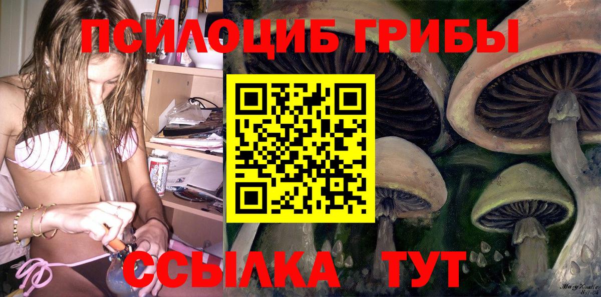 закладка  Псилоцибиновые грибы прущие грибы  Псилоцибиновые грибы ЛСД  Вход с VPN  Волгоград 